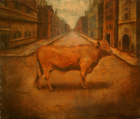 cow in road