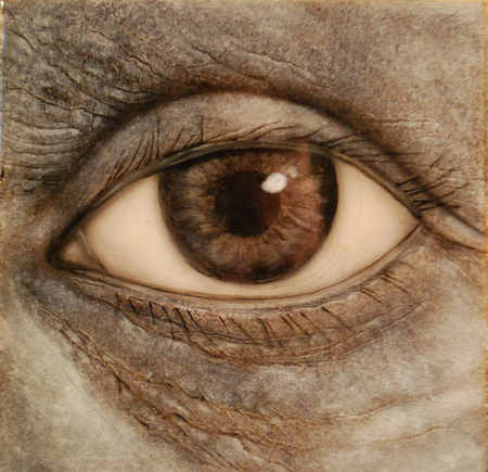old eye