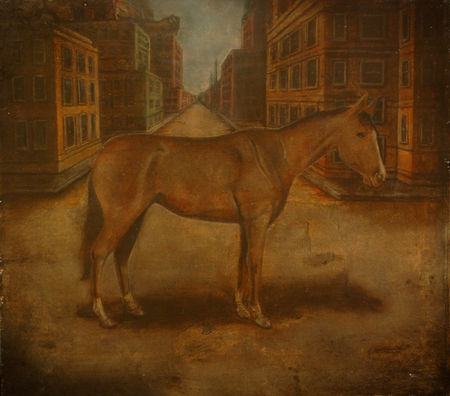 horse in road