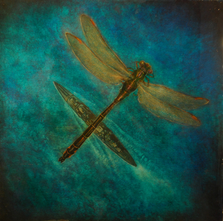 dragonfly boat