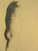 pastel and charcoal