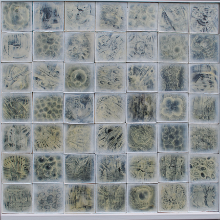 biomorphic