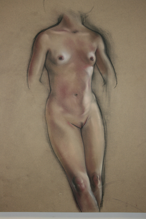 pastel and charcoal