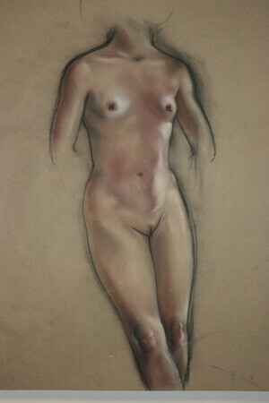pastel and charcoal