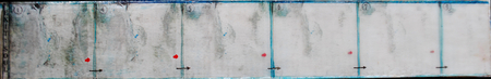 pictorial sequence of a homo sapien soul exiting its material host