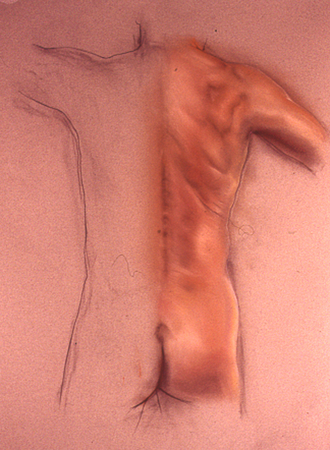 pastel and charcoal